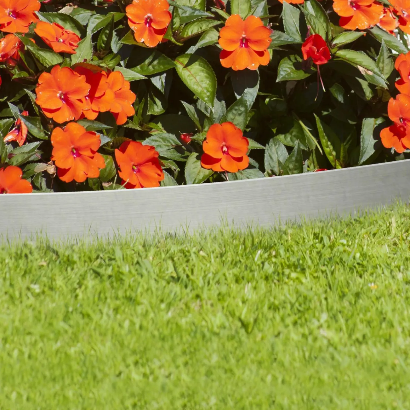 Bordurette de jardin en acier 5 m*IDMarket Sale