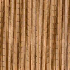 Brise-vue occultant imprimé bambou 1,8 x 10 M 160 gr /m²*IDMarket New