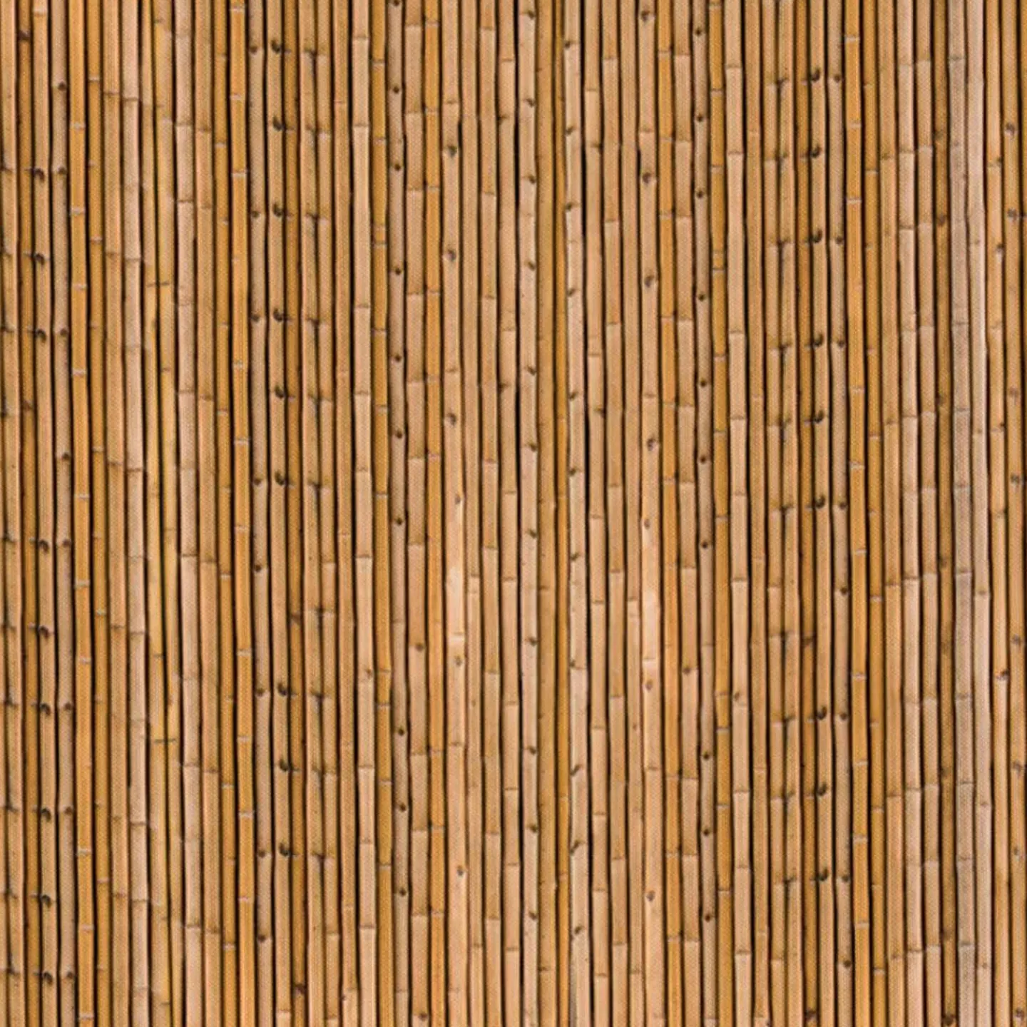 Brise-vue occultant imprimé bambou 1,8 x 10 M 160 gr /m²*IDMarket New