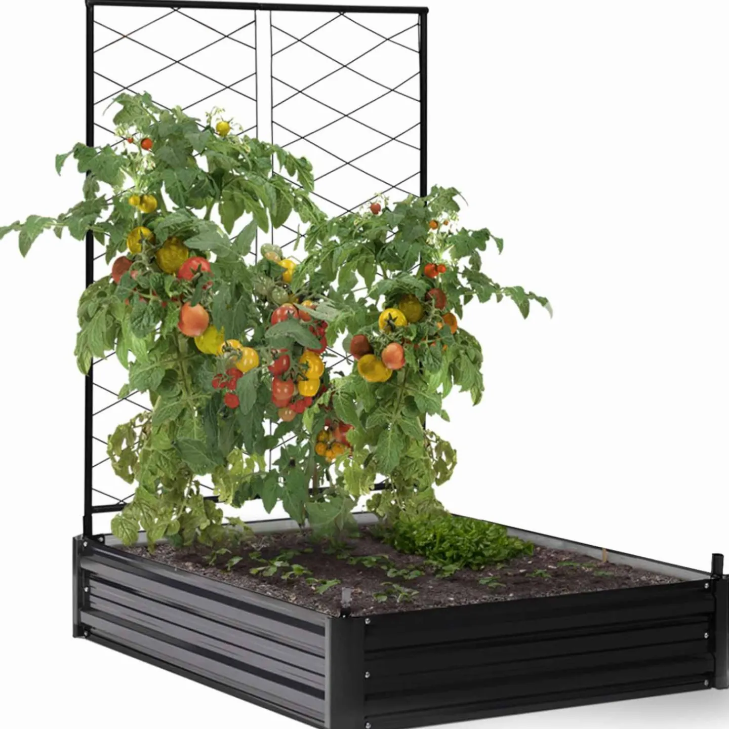 Carré potager en métal avec serre à tomates + treillis + housse*IDMarket Discount