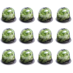 Cloches pour plants de salade X12*IDMarket Outlet