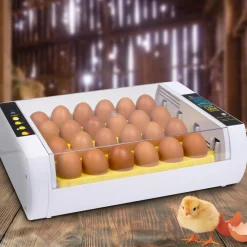 Couveuse incubateur 24 œufs*IDMarket Sale