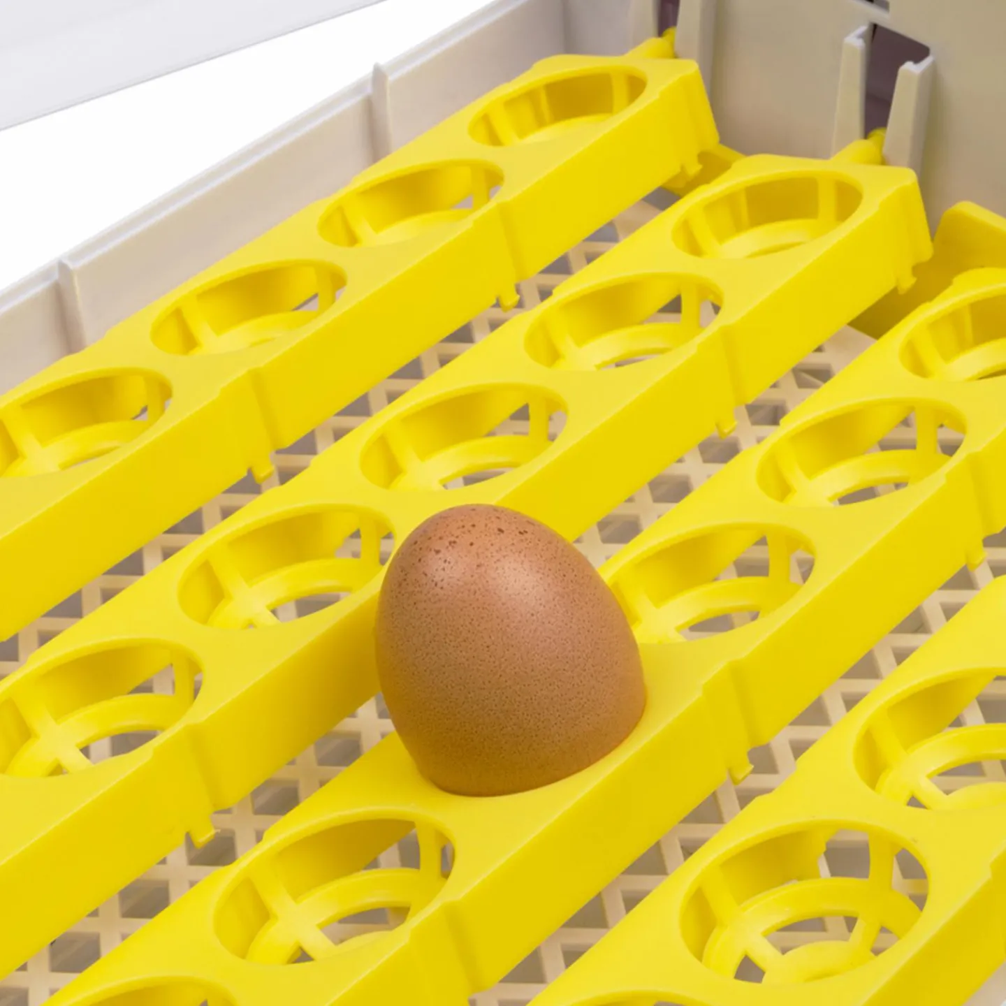 Couveuse incubateur 24 œufs*IDMarket Sale