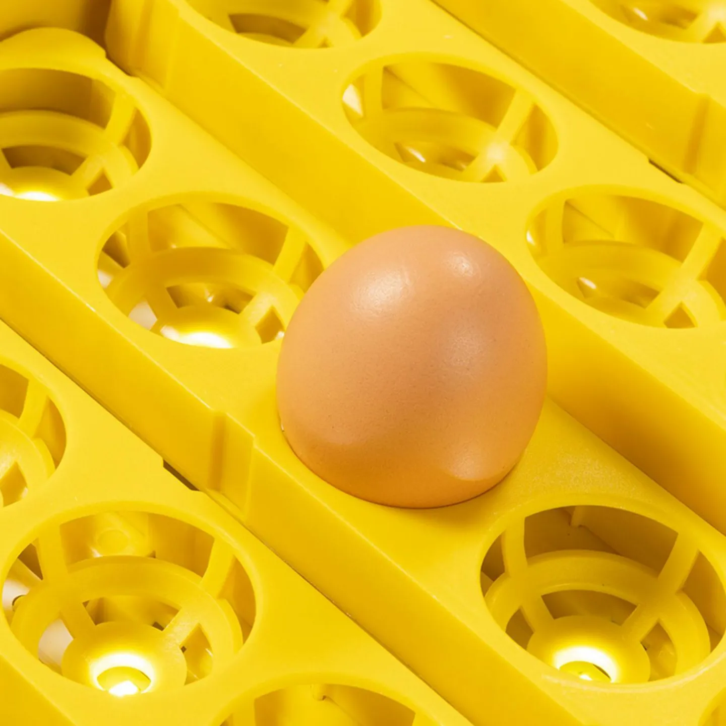 Couveuse professionnelle automatique 56 œufs avec incubateur*IDMarket New