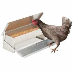 Distributeur de graines pour poules anti nuisible*IDMarket New