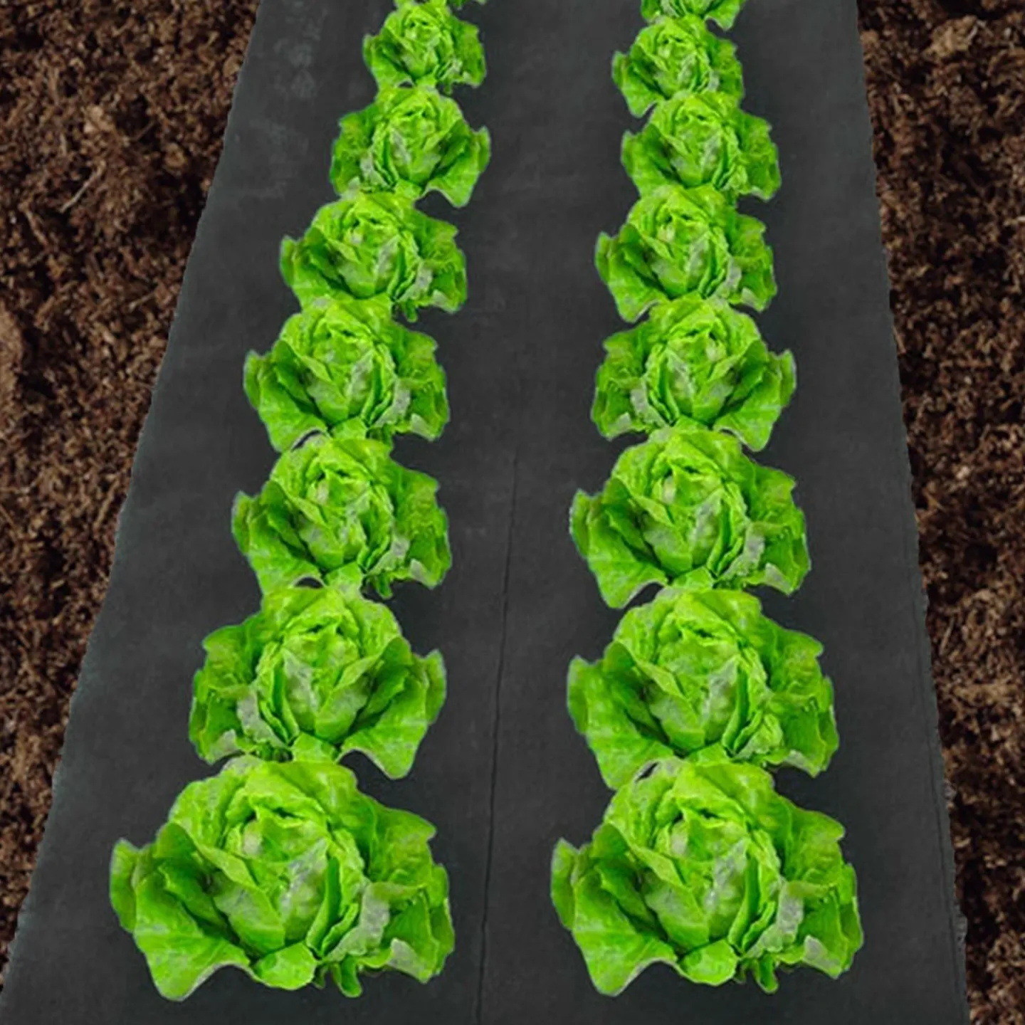 Feutre géotextile noir pour paillage du jardin*IDMarket Discount