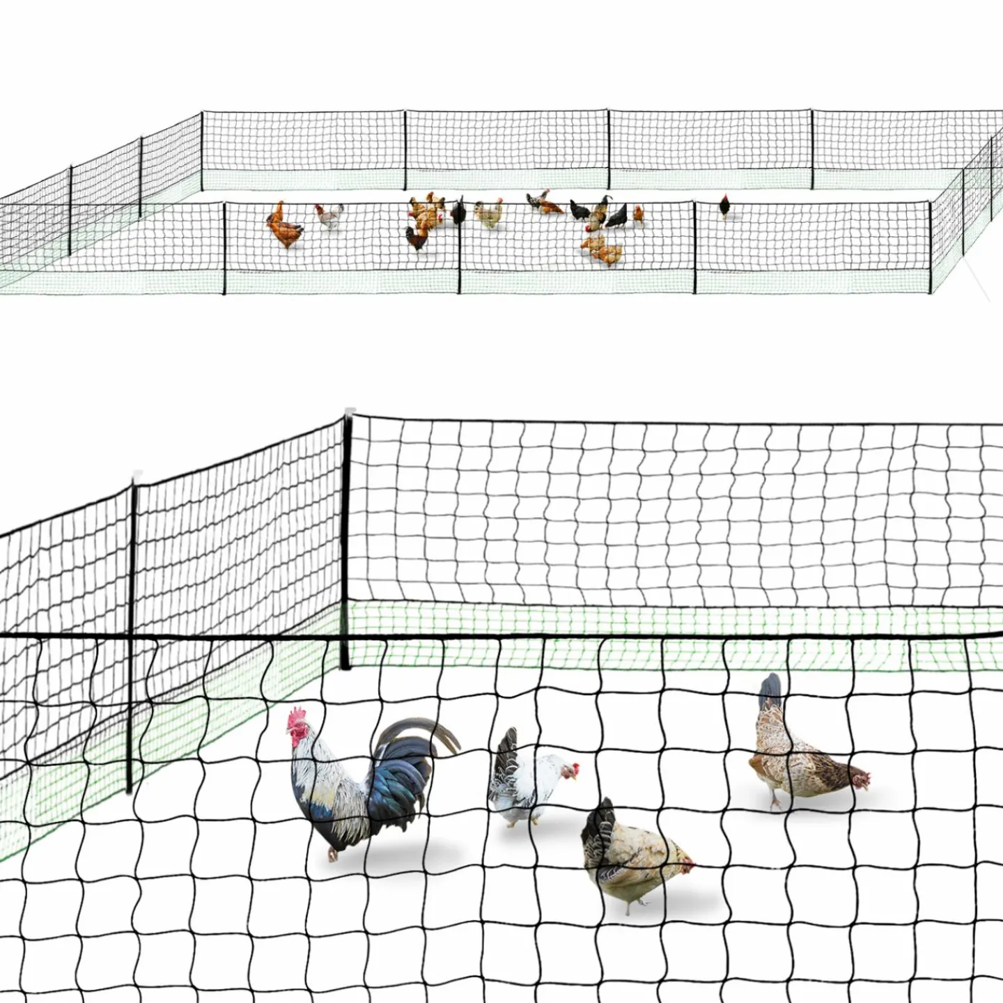 Filet à poules de 50m avec porte*IDMarket Outlet