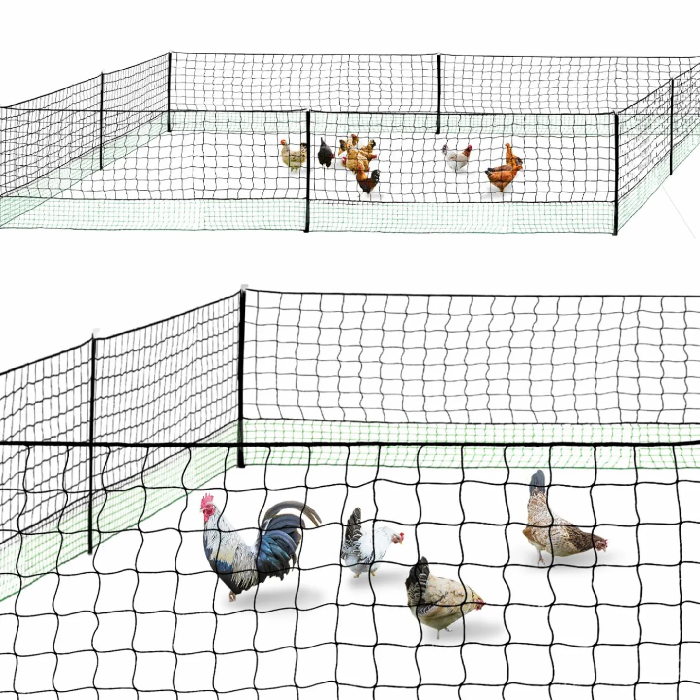 Filet de clôture pour poulailler 24 mètres*IDMarket Clearance
