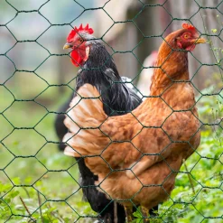 Grillage à poule vert 1x25m clôture souple jardin animaux*IDMarket Discount