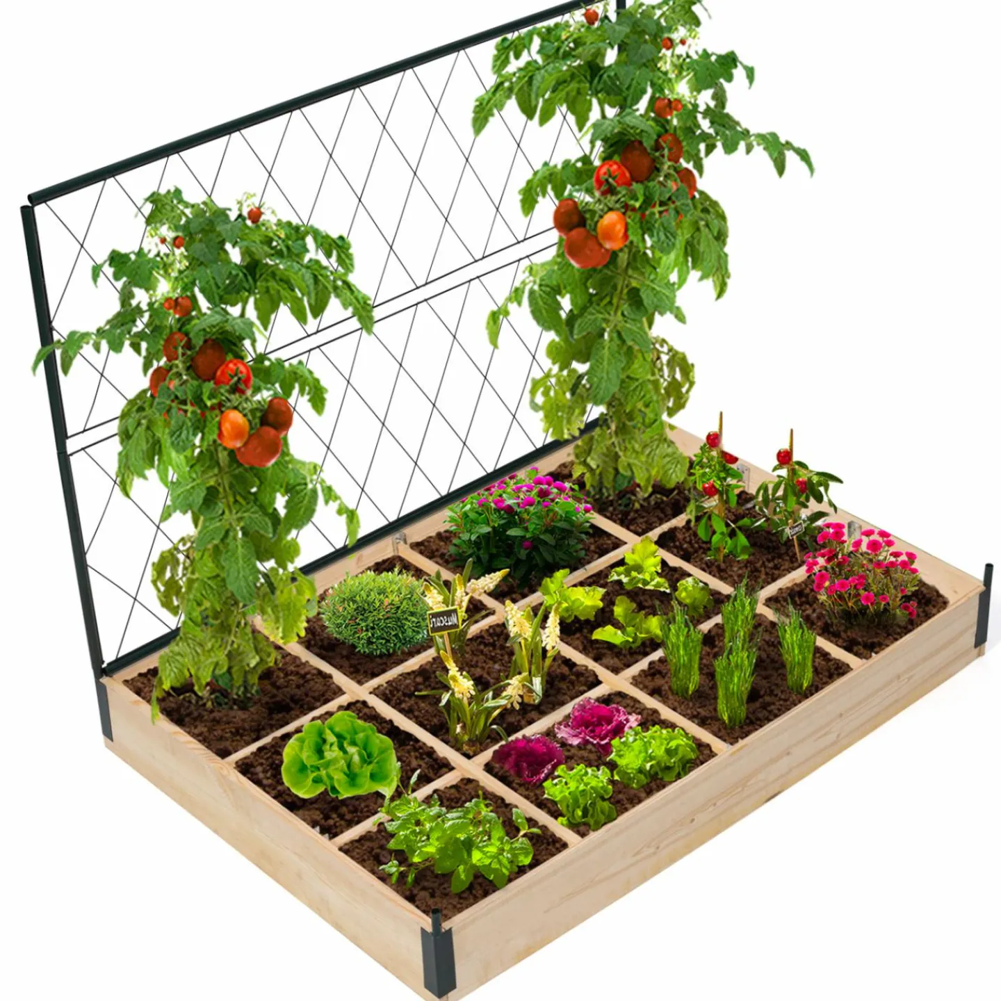 Kit complet 3 carrés potager et serre à tomates + treillis + housse*IDMarket Online