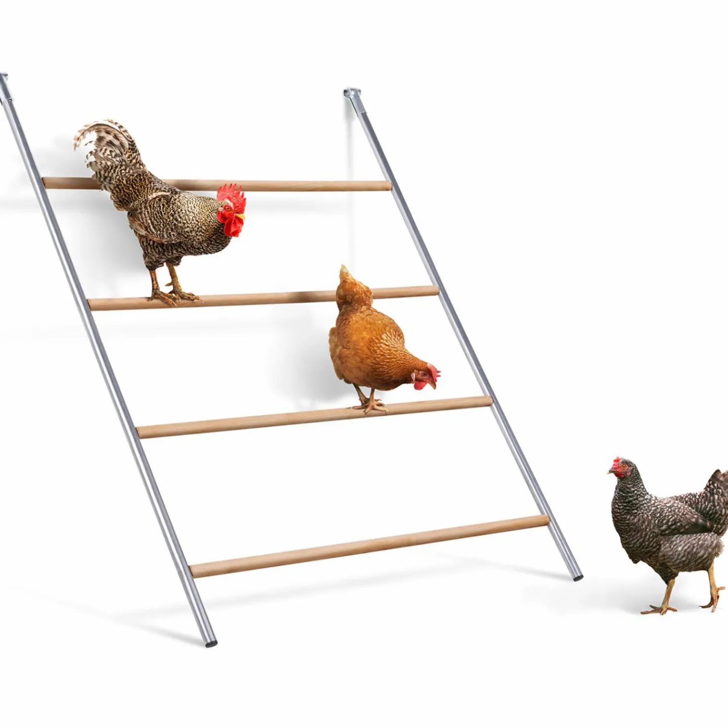 Perchoir poule 4 niveaux en bois*IDMarket Sale