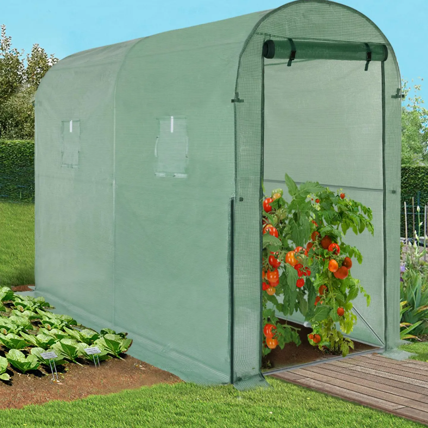 Serre à tomates 3 m² 3x1x2m*IDMarket New