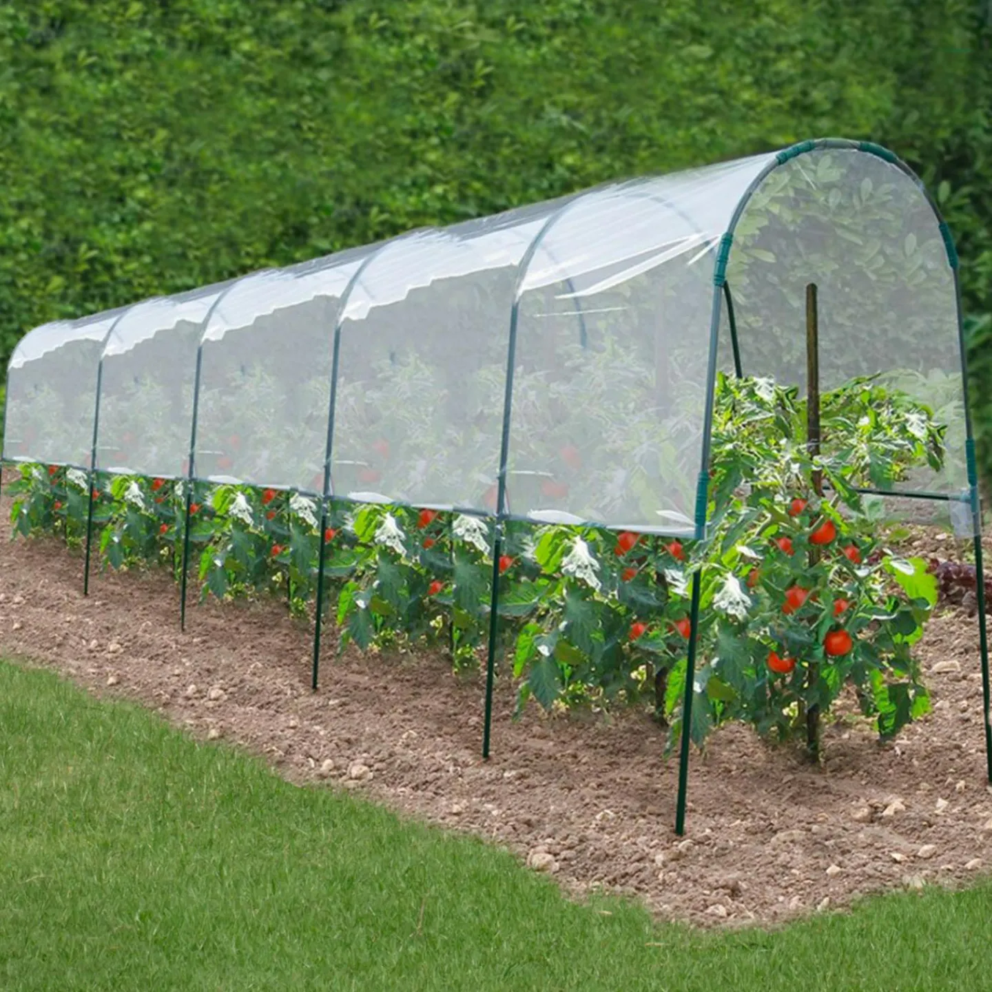 Serre à tomates de 2m de longueur*IDMarket Online