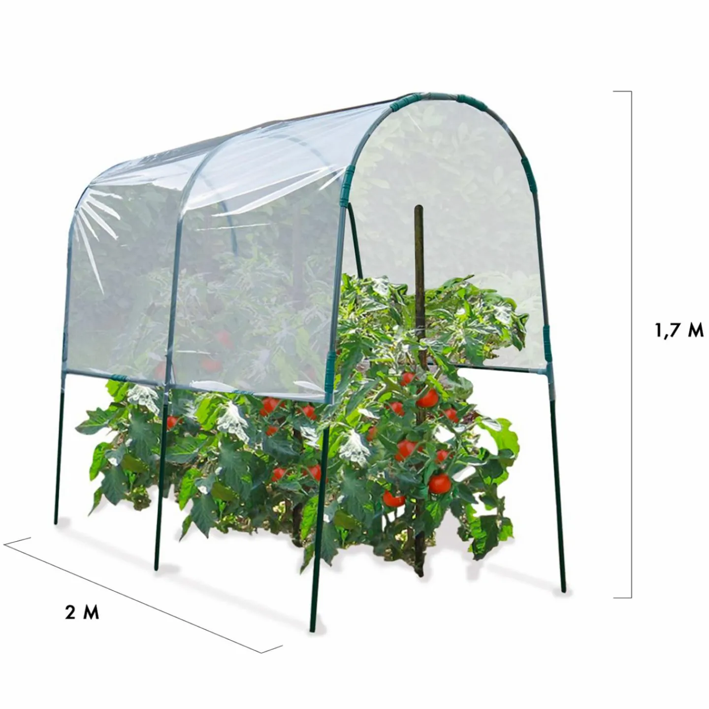 Serre à tomates de 2m de longueur*IDMarket Online