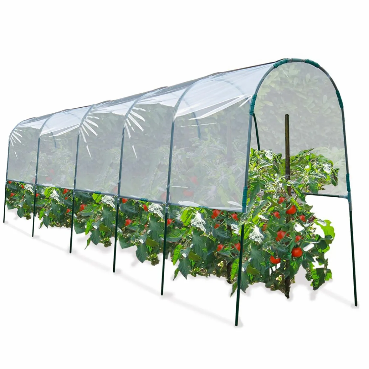Serre à tomates tunnel 6 m*IDMarket New