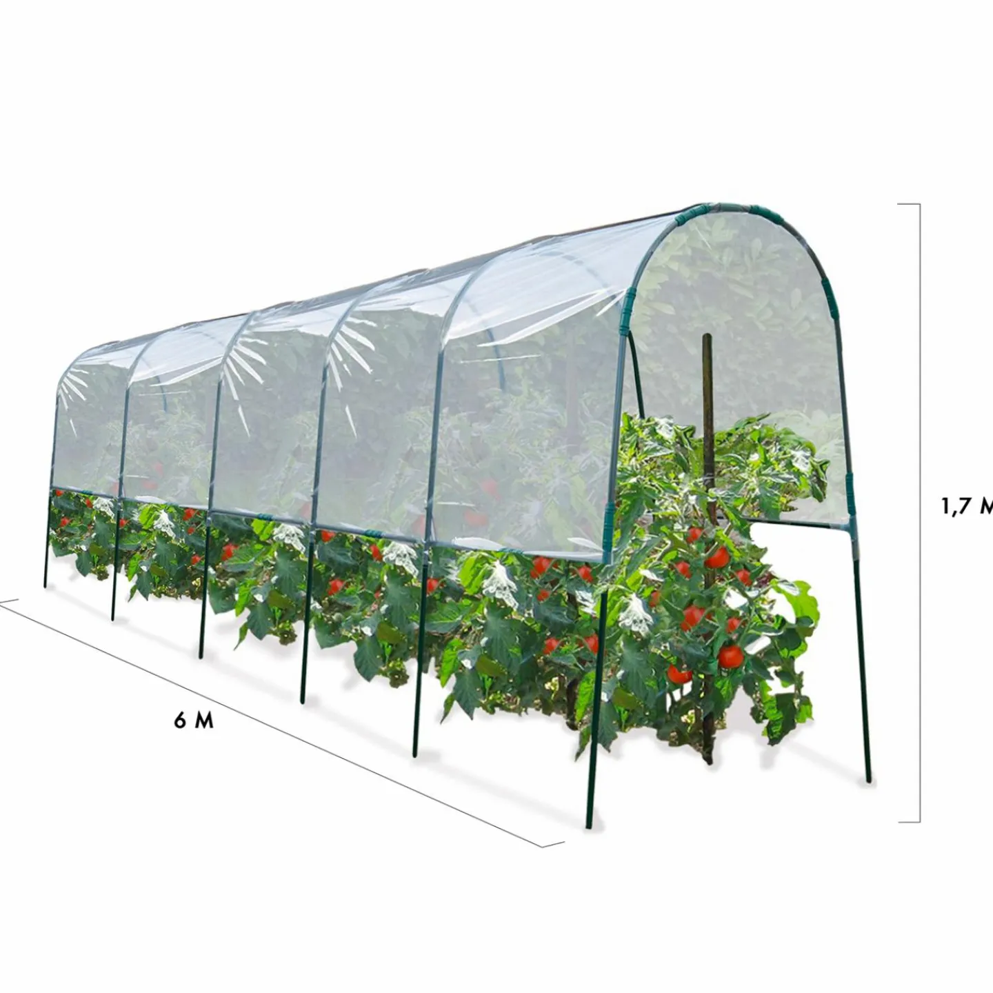 Serre à tomates tunnel 6 m*IDMarket New