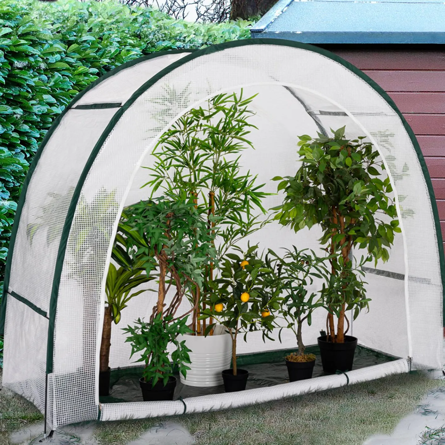 Serre d'hivernage balcon et terrasse en demi lune*IDMarket Best