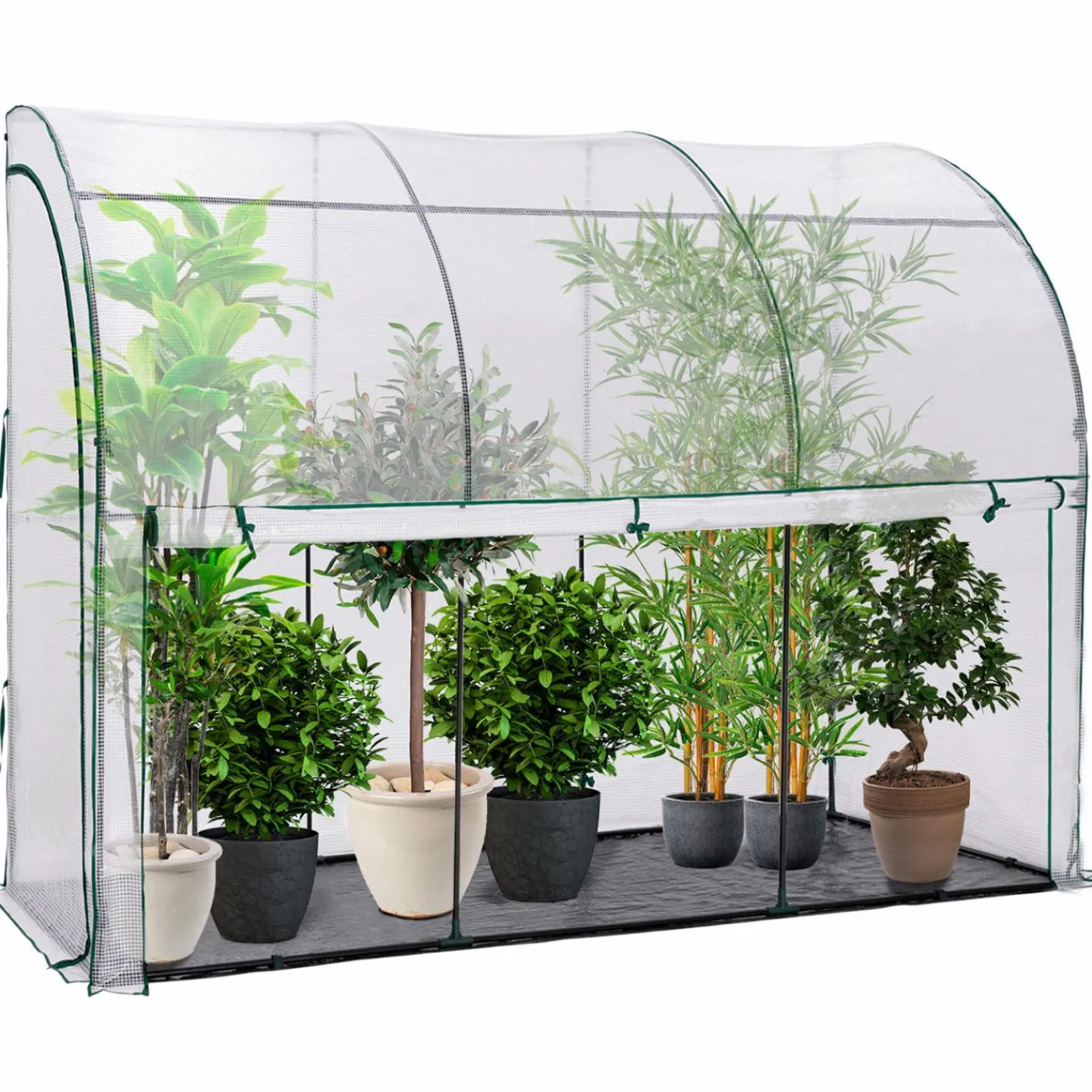 Serre murale pour hivernage des plantes*IDMarket Outlet