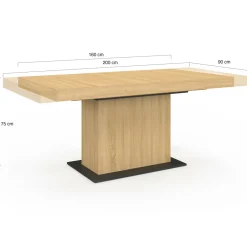 Table à manger extensible rectangle bois et socle noir*IDMarket