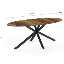 Table à manger ovale 10 personnes 200 cm pied araignée noir et plateau bois foncé*IDMarket Clearance