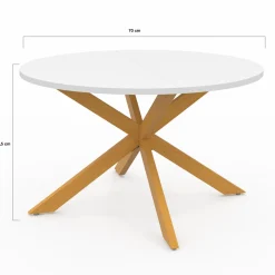 Table basse ronde blanche et bois 70 cm pied araignée*IDMarket Online