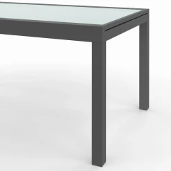 Table de jardin extensible 12 places grise avec chaises*IDMarket Discount