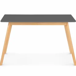 Table extensible scandinave grise anthracite*IDMarket Discount