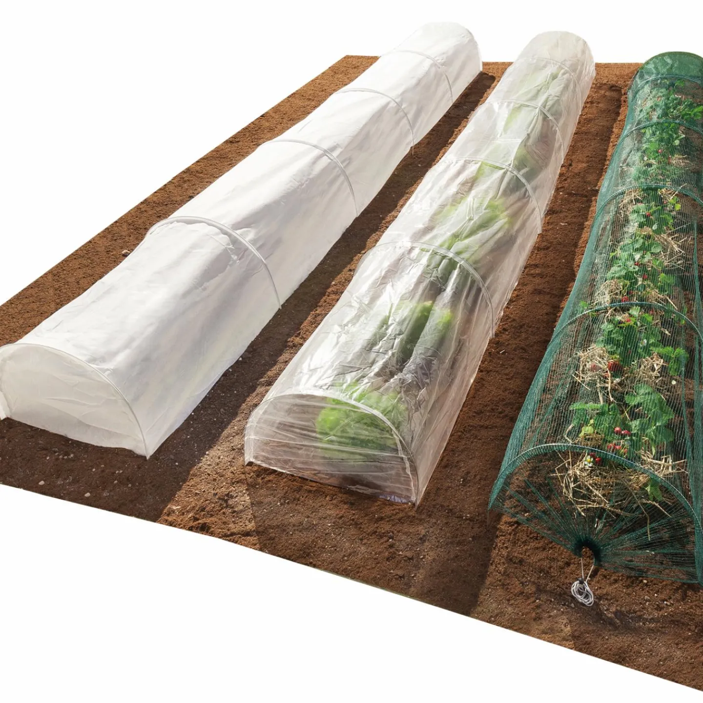 Tunnel de forçage pour cultures*IDMarket Sale