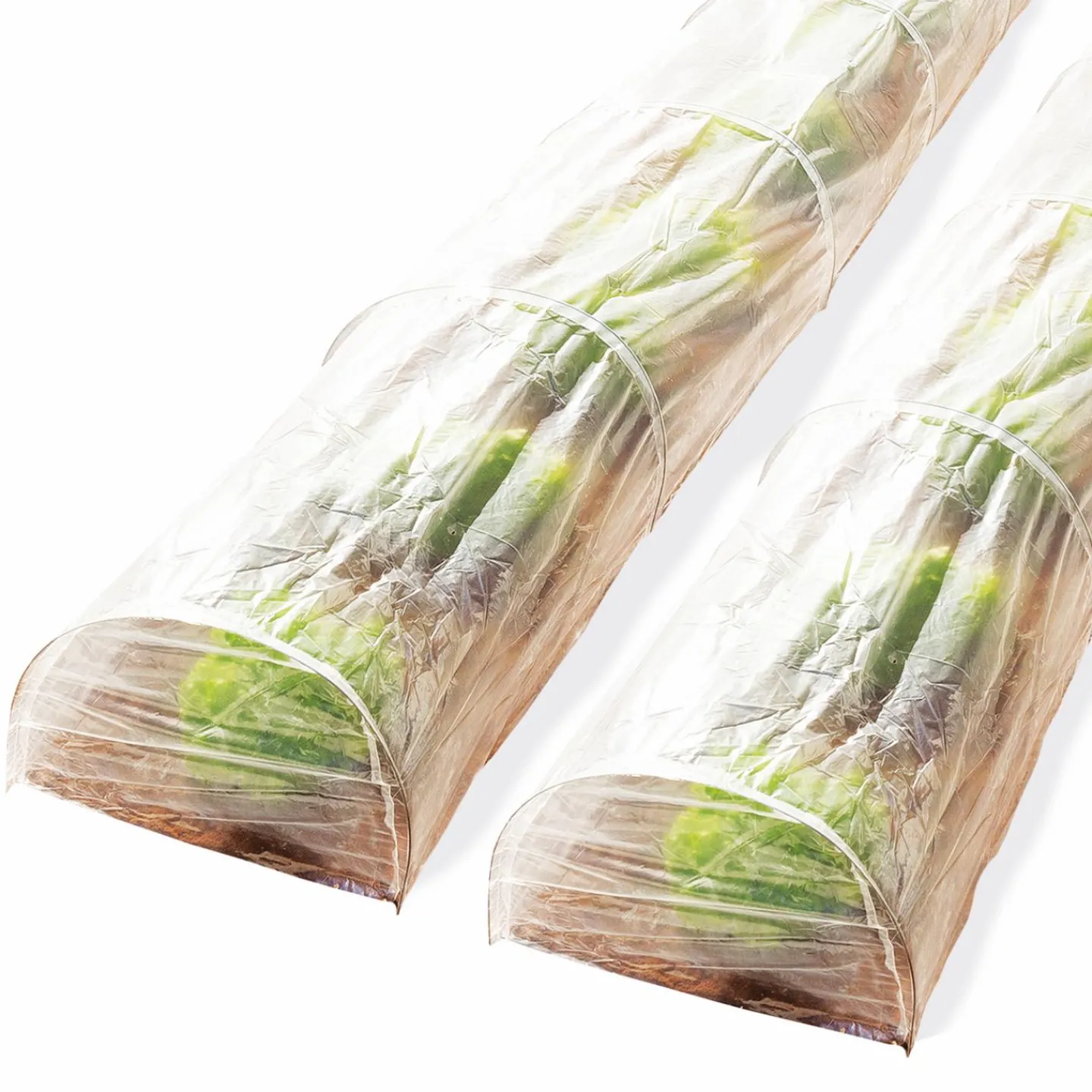 Tunnels de forçage 4 M pour cultures*IDMarket Online